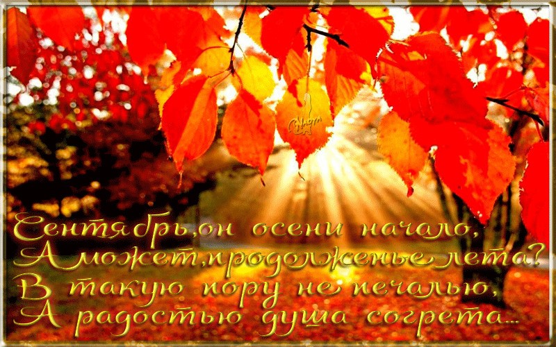 Стихи про осень, поздравления с первым днем осени
